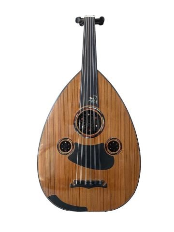 MH960 PROFESYONEL UD